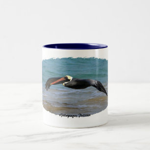 Galapagos Pelican Two-Tone Coffee Mug