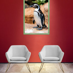 Galapagos penguin poster