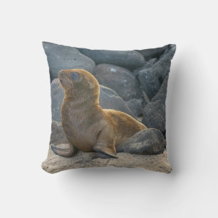 Galapagos Sea Lion Cushion