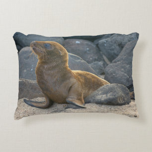 Galapagos Sea Lion Decorative Cushion