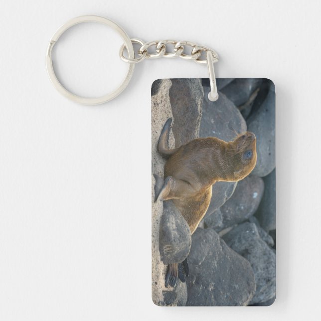 Galapagos Sea Lion Key Ring (Front)