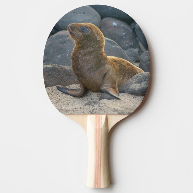 Galapagos Sea Lion Ping Pong Paddle (Front)