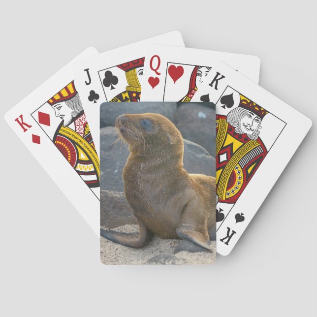 Galapagos Sea Lion Playing Cards (Back)