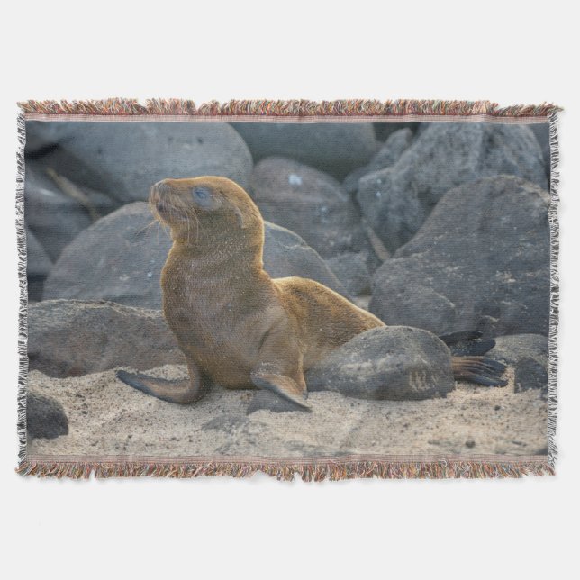 Galapagos Sea Lion Throw Blanket (Front)