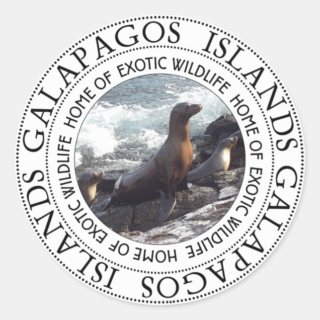 GALAPAGOS SEALS ROUND (Front)
