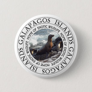 GALAPAGOS SEALS ROUND 6 CM ROUND BADGE