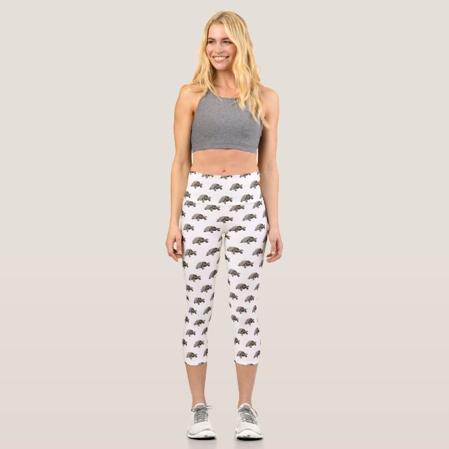 Galapagos tortoise cartoon illustration capri leggings (Front)