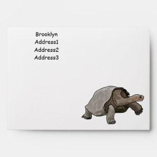 Galapagos tortoise cartoon illustration envelope