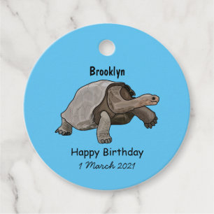 Galapagos tortoise cartoon illustration favour tags