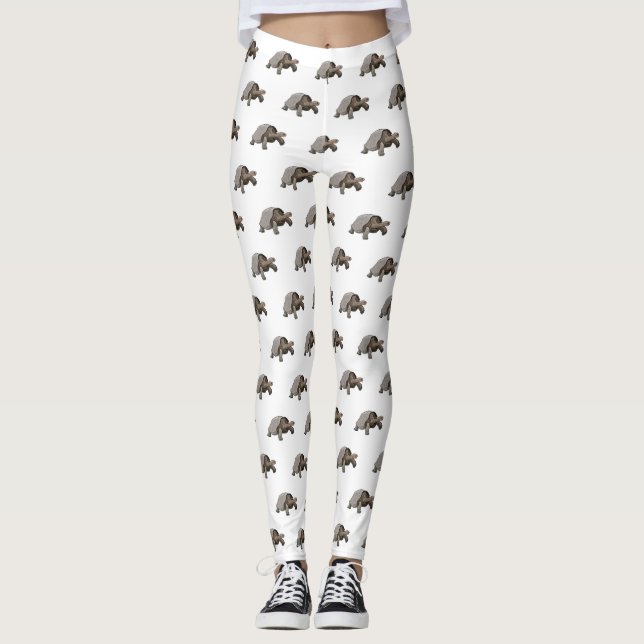 Galapagos tortoise cartoon illustration leggings (Front)