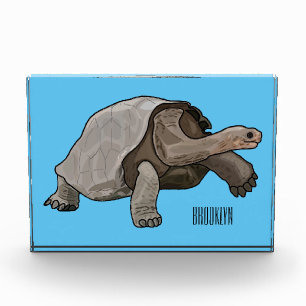 Galapagos tortoise cartoon illustration photo block