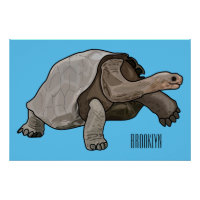 Galapagos tortoise cartoon illustration
