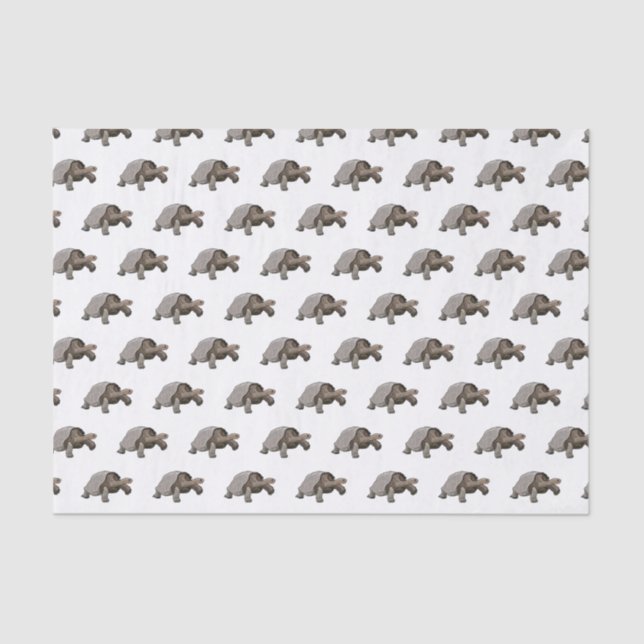 Galapagos tortoise cartoon illustration tissue paper (Front)