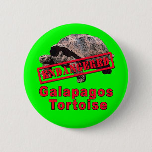 Galapagos Tortoise  Endangered Art Tshirts 6 Cm Round Badge