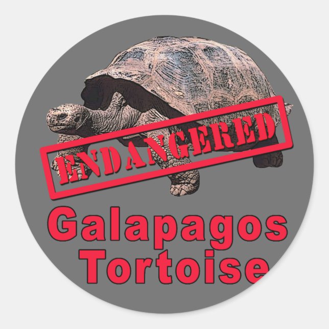 Galapagos Tortoise  Endangered Art Tshirts Classic Round Sticker (Front)