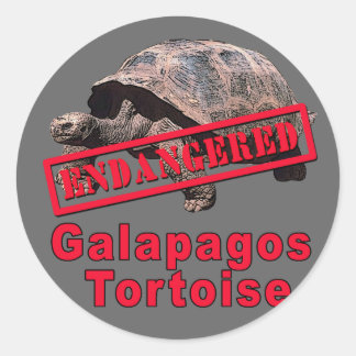 Galapagos Tortoise Endangered Art Tshirts Classic Round Sticker