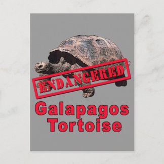 Galapagos Tortoise Endangered Art Tshirts Postcard