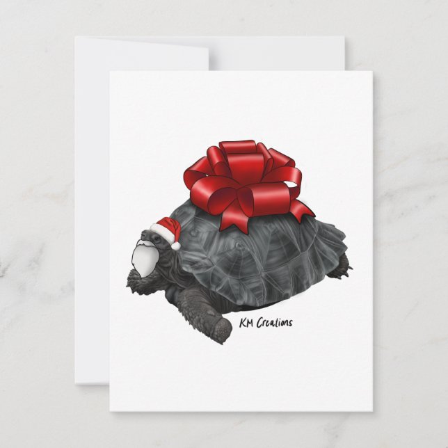 Galapagos tortoise - holiday card (Front)