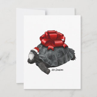 Galapagos tortoise - holiday card