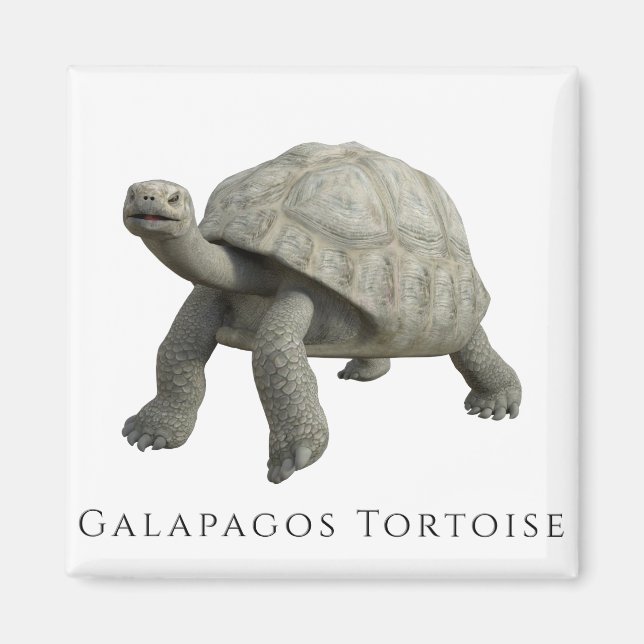 Galapagos Tortoise Magnet (Front)