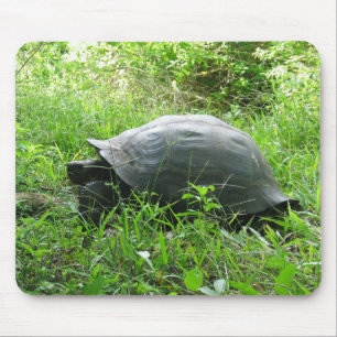 Galápagos Tortoise Mouse Mat
