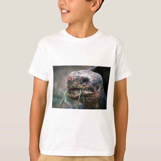 Galapagos Turtle, Galapagos Islands T-Shirt (Front)