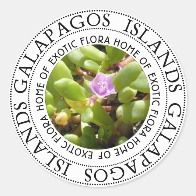 Galapgaos Islands Sesuvium Sea Purslane Stickers (Front)