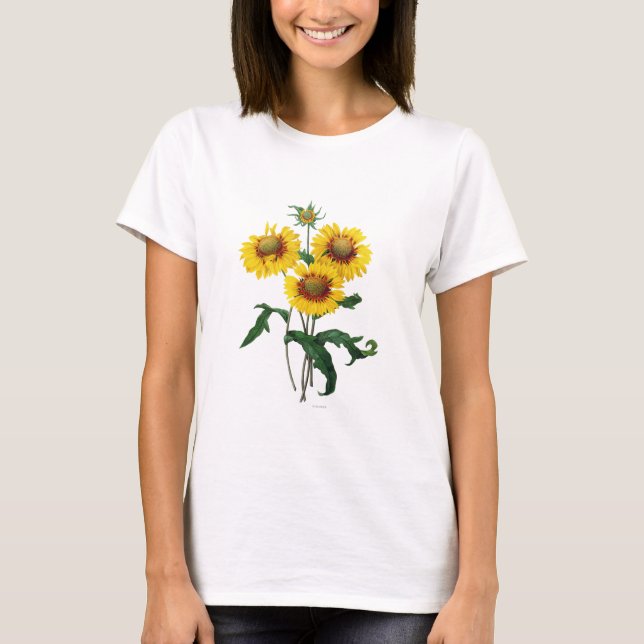 Galardia T-Shirt (Front)
