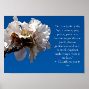 Galatians 5:22,23 Poster