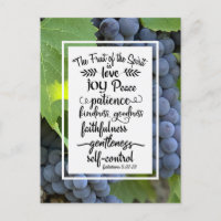 Galatians 5:22-23 The Fruit of the Spirit