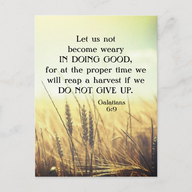 Galatians 6:9 Do not become weary in doing good  Postcard (Front)