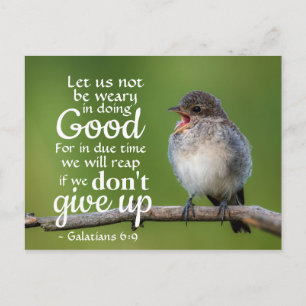 Galatians 6:9 Let us not be weary in doing good Postcard