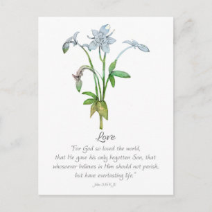 Galatians Fruit of the Spirit Love John 3 16 Postcard