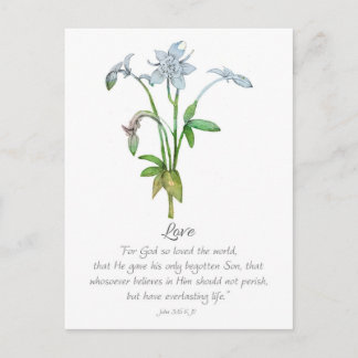 Galatians Fruit of the Spirit Love John 3 16  Postcard