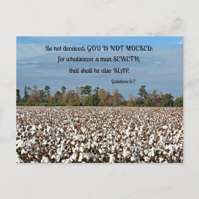 Galations 6:7 Be not deceived, God is not mocked.. Postcard (Front)