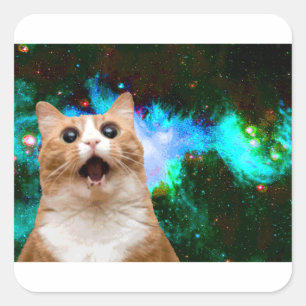 GALAXY CAT SQUARE STICKER