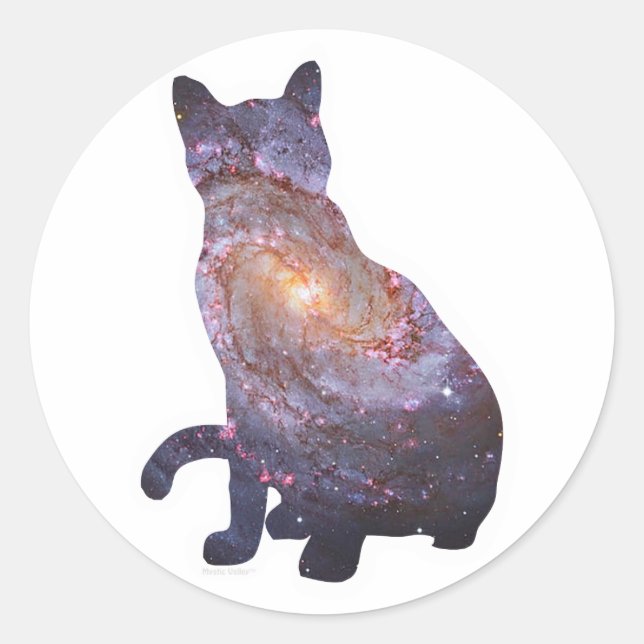 Galaxy Cat Sticker 4 (Front)