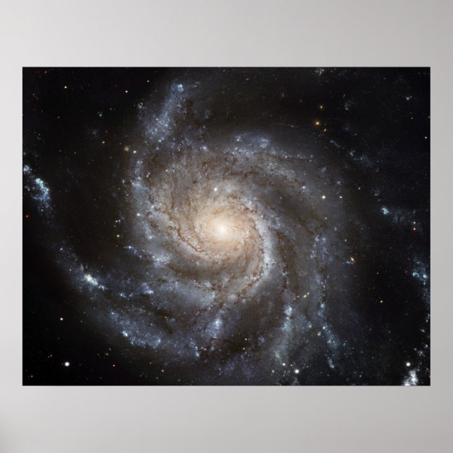 Galaxy M101 Poster (Front)
