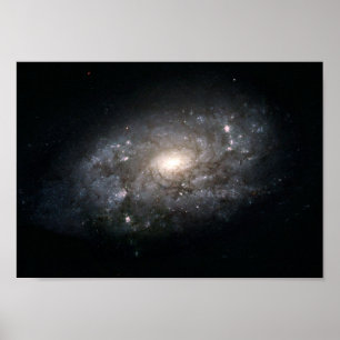 Galaxy NGC 3949: A Galaxy Similar to the Milky Way Poster