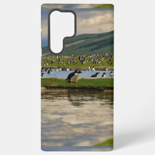 Galaxy S22 Ultra: Premium Protection Cases & Cover
