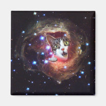 Galaxy Space Cats LOL 2 Inch Square Magnet