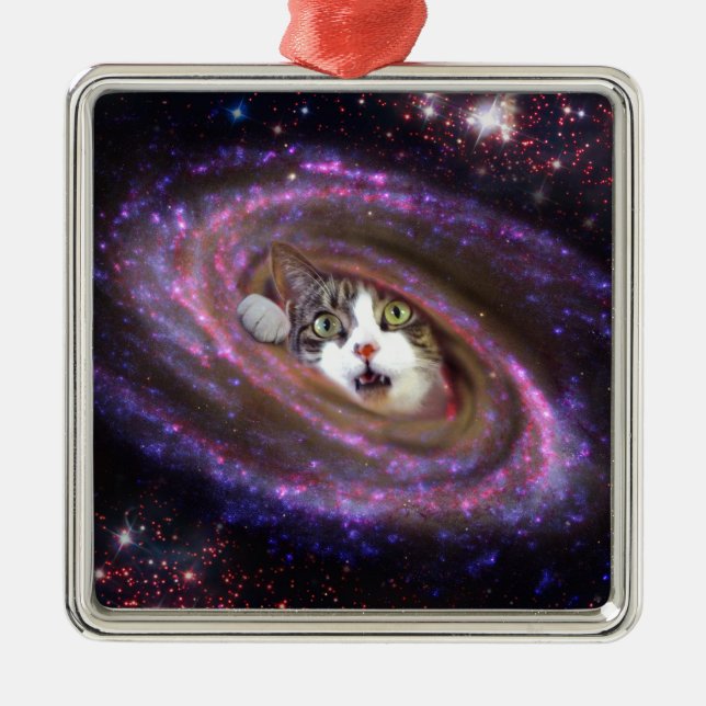 Galaxy Space Cats LOL Funny Square Ornaments (Front)