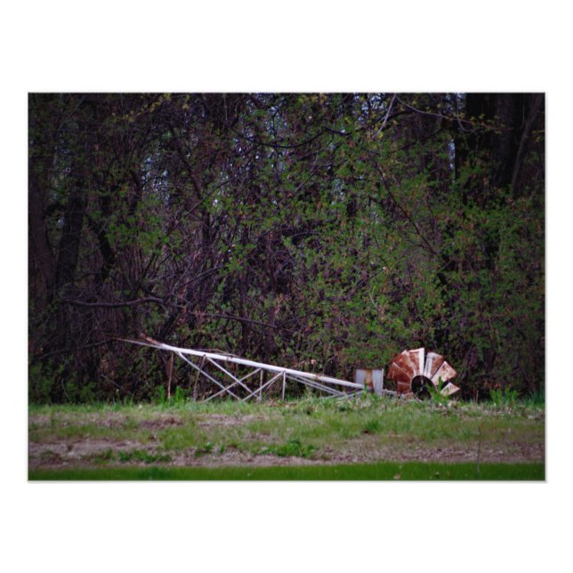 "Gale Pushed Me" Photo Print (Front)