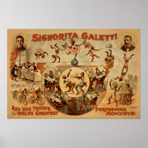 GALETTI Performing Monkeys Act VAUDEVILLE Poster