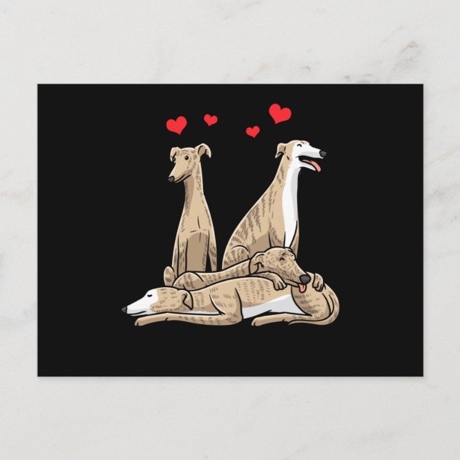 Galgo Español Dog Spanish Sighthound Postcard (Front)