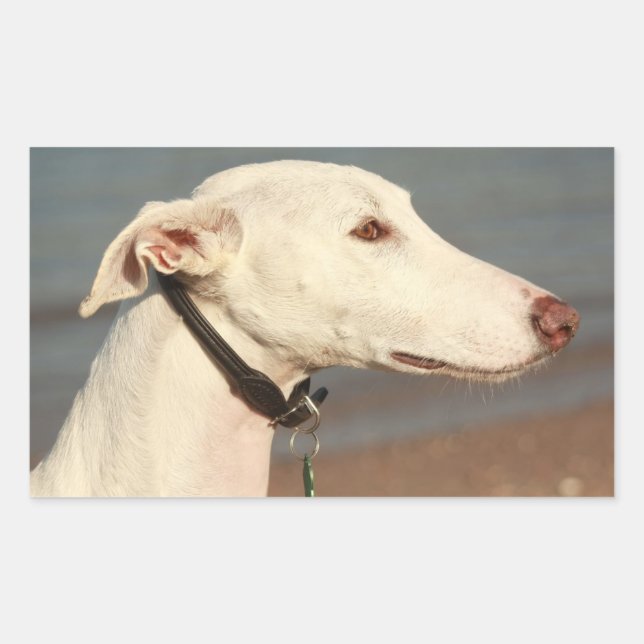 Galgo Windhound Rectangular Sticker (Front)