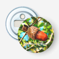 Galilee Acorn
