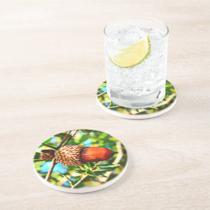 Galilee Acorn Coaster