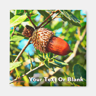 Galilee Acorn Magnet