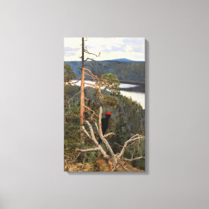 Gallen-Kallela - Great Black Woodpecker 1894 Canvas Print
